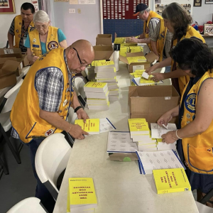 mercedes-lions-club-dictionary-project